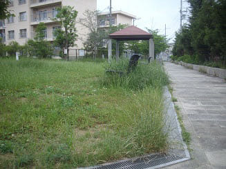 雑草が多い公園